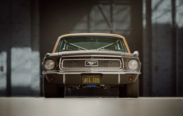Mustang, Ford, Авто, Ретро, Машина, Форд, Фары, Арт