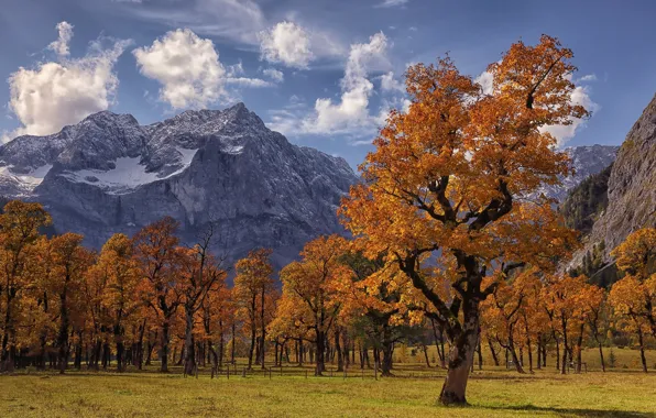 Картинка красота, осень, природа