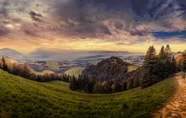 Картинка трава, облака, деревья, горы, поля, обработка, Швейцария, склон