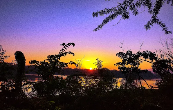 Sun, Water, Sunrise, Dawn, Morning, Lake, Trees, Reflection