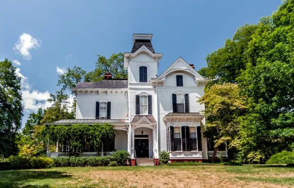 Трава, деревья, дом, USA, США, house, grass, лужайка