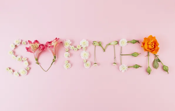 Картинка лето, цветы, фон, розовый, summer, pink, flowers, композиция