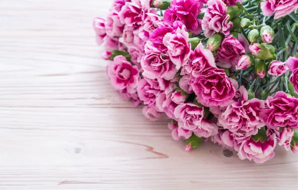 Картинка цветы, розовые, wood, pink, гвоздика, flowers