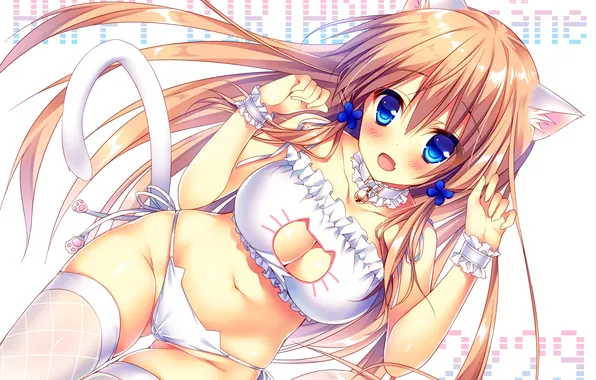 Girl, sexy, lingerie, pantsu, bra, cleavage, panties, thighhighs