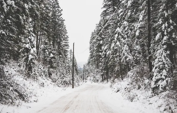 Зима, дорога, деревья, провода