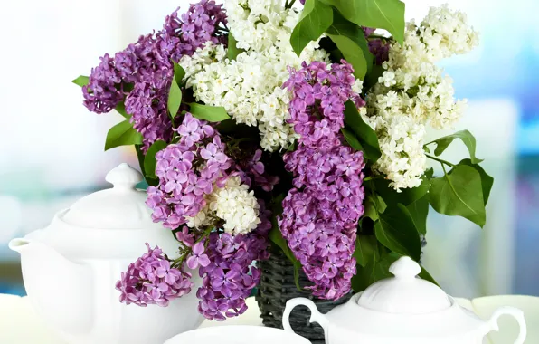 Чай, Tea, flowers, сирень, Lilac