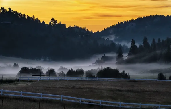 Nature, fog, Colorado, Morning After