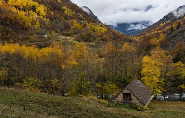 Осень, лес, горы, склон, домик