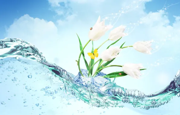 Картинка лед, вода, цветы, бабочка