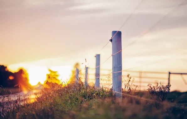 Дорога, пейзаж, забор