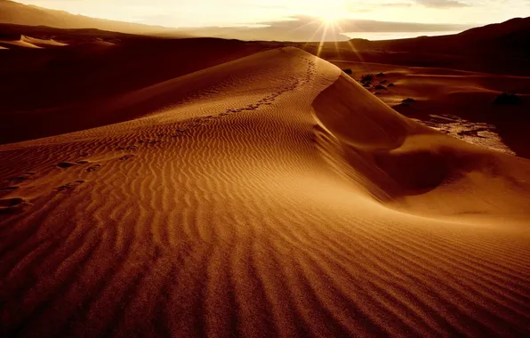 Картинка песок, небо, солнце, пейзаж, барханы, пустыня, дюны