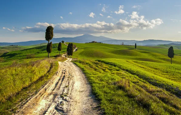Дорога, холмы, Италия, Тоскана, сельский пейзаж