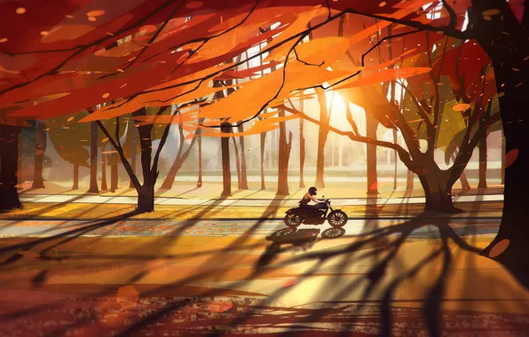 Дорога, осень, лес, листья, девушка, деревья, мотоцикл, байк