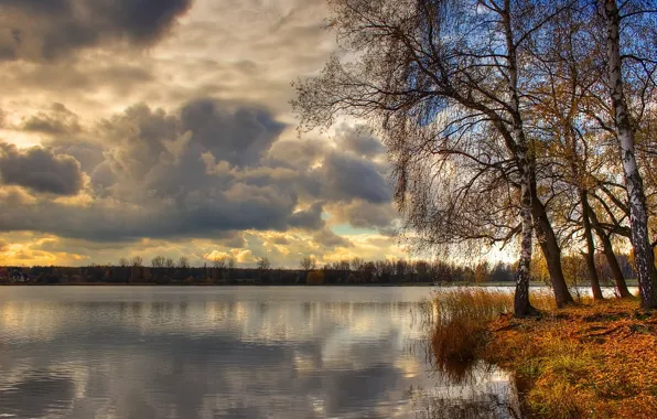 Картинка облака, деревья, озеро, березы