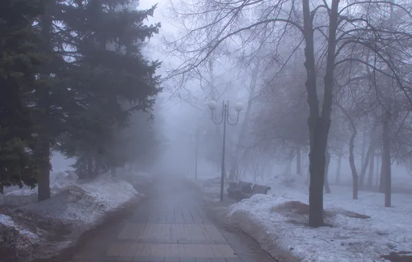 Снег, деревья, туман, весна, утро, Россия, Самара, Stan