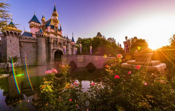 Закат, замок, розы, Диснейленд, Disneyland