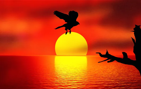 Картинка закат, отражение, птица, Holding the SUN
