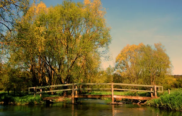 Картинка пруд, Осень, мостик, bridge, autumn, pond, fall