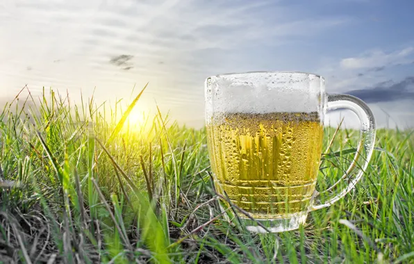 Картинка поле, небо, трава, солнце, рассвет, пиво, кружка