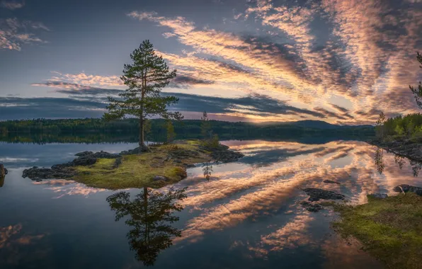 Лес, облака, озеро, отражение, дерево, остров, Норвегия, сосна