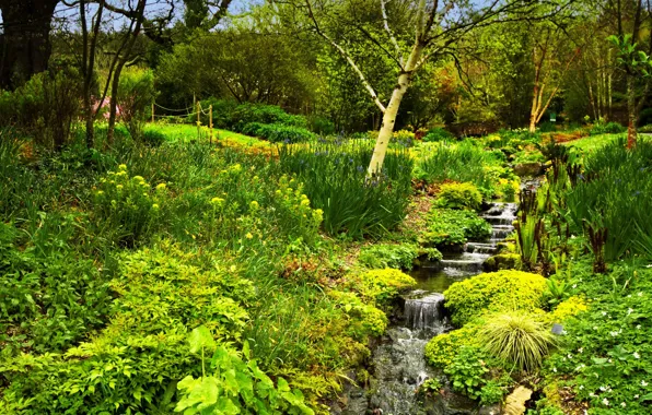 Зелень, трава, деревья, парк, ручей, Англия, кусты, Rosemoor Gardens