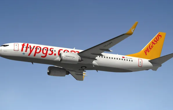 Model, Blender3D, Pegasus Airlines, Boeing 737-800