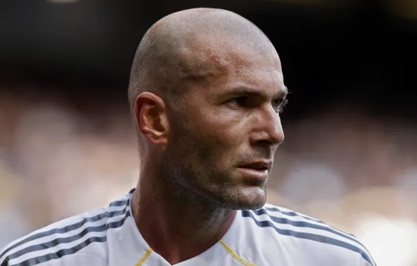 Спорт, Футбол, Мужчина, Реал Мадрид, Real Madrid, Футболист, Легенда, Zinedine Zidane