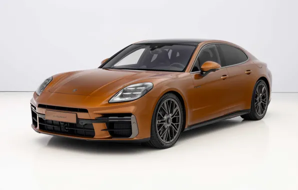 Картинка Porsche, экстерьер, E-Hybrid, Panamera Turbo, 2024, Porsche Panamera Turbo E-Hybrid