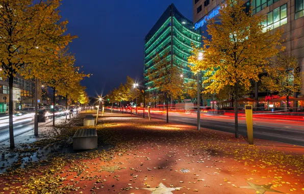 Картинка дорога, осень, листья, деревья, ночь, город, здания, выдержка