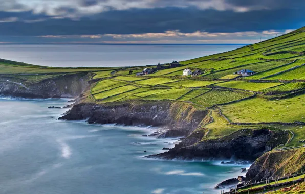 Картинка море, поле, дом, склон, Ирландия, графство Керри