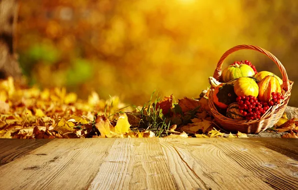 Картинка осень, корзина, тыквы, листики, рябина