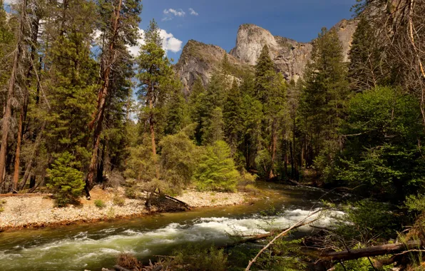 USA, California, parks, Yosemite.