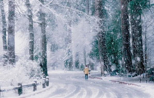 Зима, дорога, снег, деревья