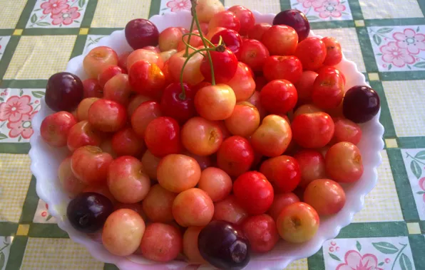 Утро, урожай, черешня