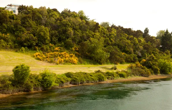 Картинка дорога, река, берег, склон, Новая Зеландия, Waikato River
