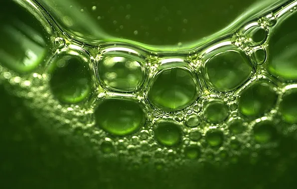 Зелень, отражение, пузыри