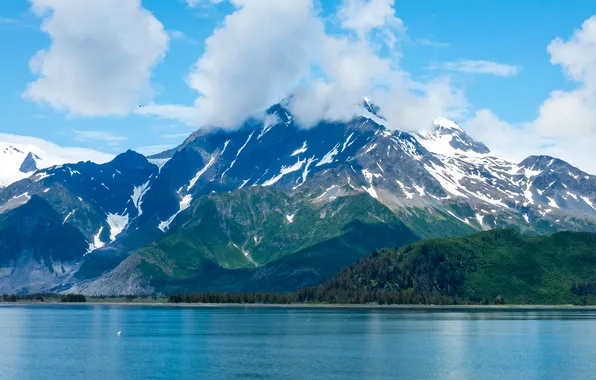 Облака, деревья, горы, берег, Аляска, залив, США, Alaska