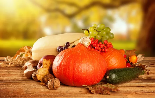 Картинка осень, яблоки, грибы, урожай, виноград, тыква, фрукты, овощи