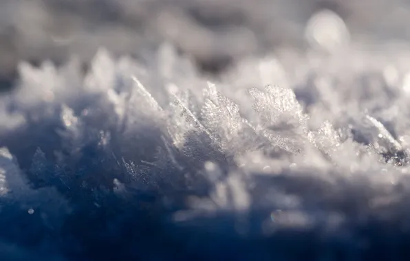 Зима, макро, снег, мороз, кристаллы