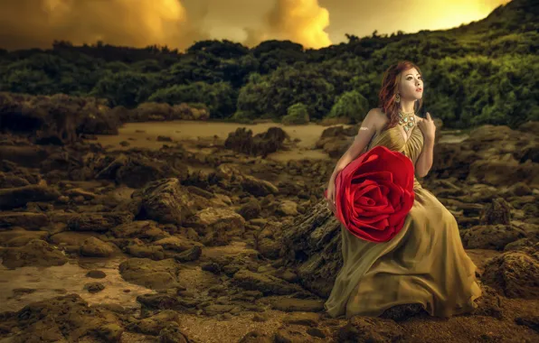 Картинка цветок, девушка, природа, модель, роза, платье, азиатка