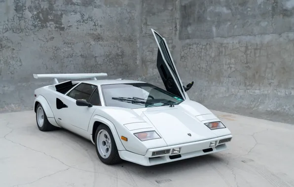 Lamborghini, white, lambo, Countach, Quattrovalvole, LP5000, Lamborghini Countach 5000QV, opened door