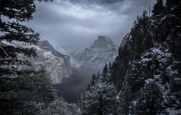 Картинка зима, небо, снег, деревья, горы, тучи, природа, скалы
