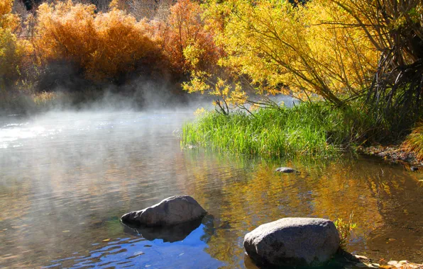 Картинка осень, деревья, туман, озеро, камни, утро, кусты