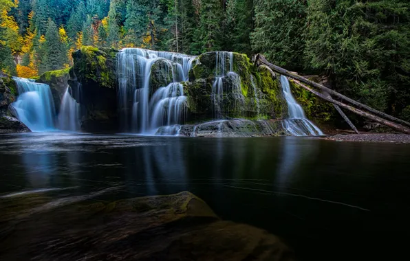 Лес, темный фон, скалы, берег, водопад, США