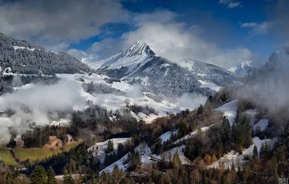 Картинка зима, облака, горы, туман, Альпы, леса
