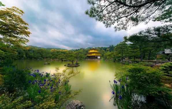 Деревья, цветы, озеро, парк, Япония, храм, Japan, Kyoto