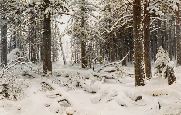 Картинка зима, лес, снег, деревья, природа, рисунок, Ivan Shishkin