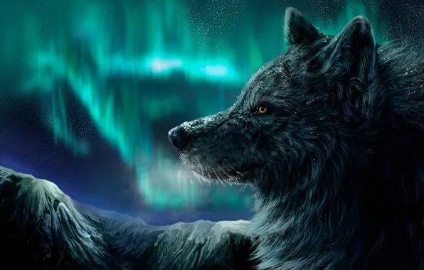 Зима, ночь, волк, северное сияние, падает снег