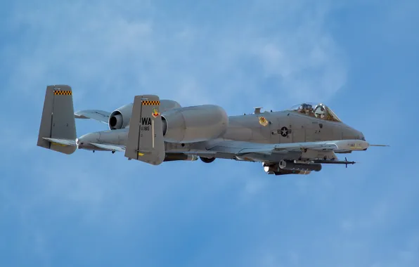 Thunderbolt II, A-10C, двухдвигательный штурмовик
