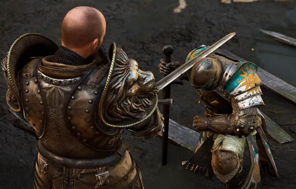 Game, armor, war, lion, sun, man, warrior, helmet
